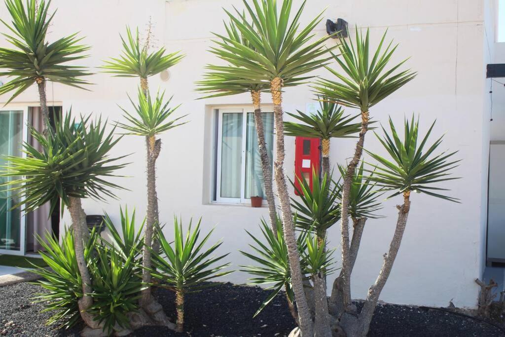Pachi Beach Alisios Playa Corralejo Extérieur photo